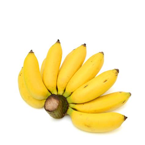 Banana(Latundan) 1.1-1.2 kg 1 bunch – Fish n' Chix