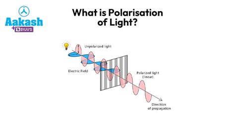 What is Polarization of Light: Definition, Types, Methods & Examples