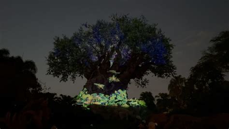 VIDEO: 'Avatar: The Way of Water' Tree of Life Awakenings Show Debuts ...