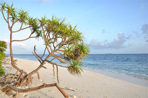 Environment Protection in Maldives - My Maldives