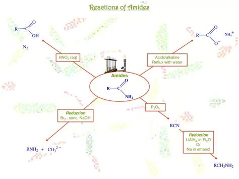 PPT - Reactions of Amides PowerPoint Presentation, free download - ID:7004440