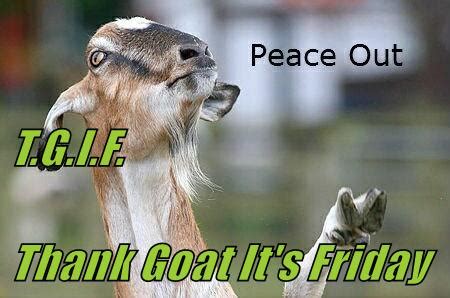 T.G.I.F. Thank Goat It's Friday - Cheezburger - Funny Memes | Funny ...