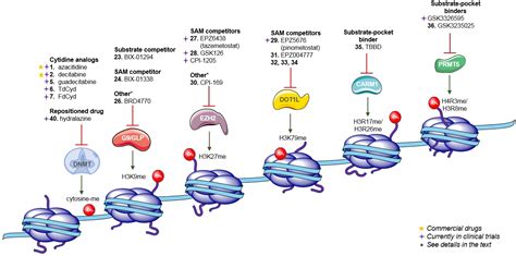 Biomolecules | Free Full-Text | DNA Methylation Targeting: The DNMT/HMT ...