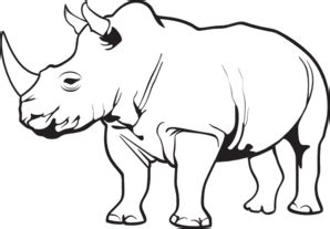 Rhino clipart 20 free Cliparts | Download images on Clipground 2024