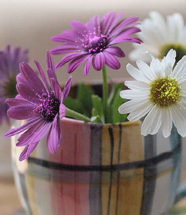 flowers in a vase with the words good morning