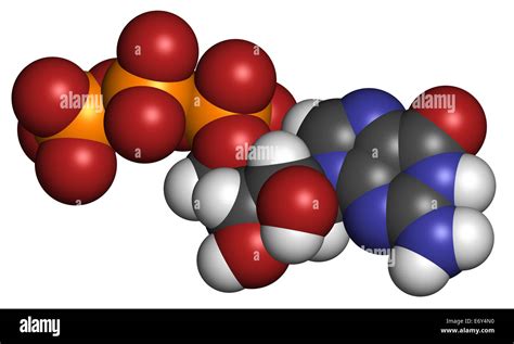 Guanosine triphosphate hi-res stock photography and images - Alamy