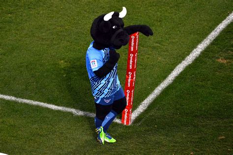 File:Blue Bulls Mascot Bulletjie 013.jpg - Wikimedia Commons