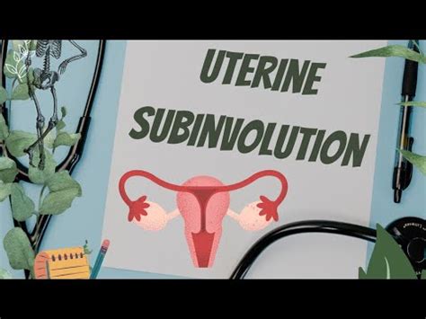 Uterine Subinvolution: Causes, Symptoms, and Treatment Explained - YouTube