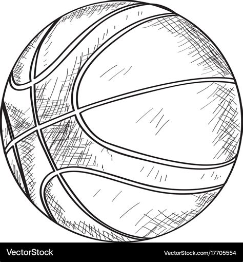 Sketch of a basketball ball Royalty Free Vector Image