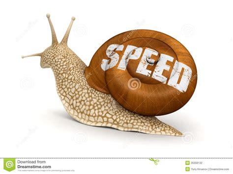 Speed Snail (clipping Path Included) Stock Illustration - Illustration ...