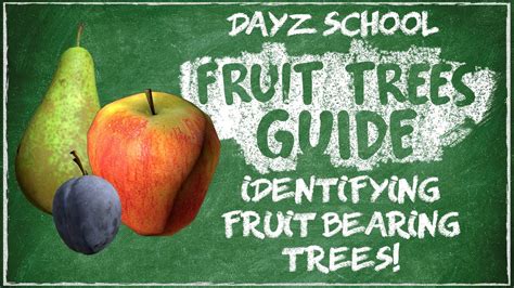 Dayz Apple Tree Xbox - Tere Fruit