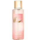 Coconut Milk & Rose Calm Victoria's Secret perfume - a fragrance for ...