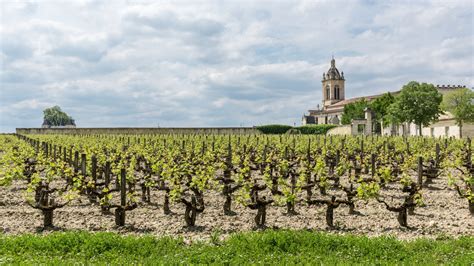 Margaux Wine Appellation, Haut-Médoc, Bordeaux