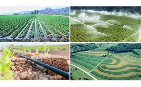 Types Of Irrigation | Methods Of Irrigation | What Is Irrigation