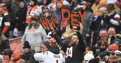 Why Bengals Yell "Who Dey" And Its History Are Explained? - Lee Daily