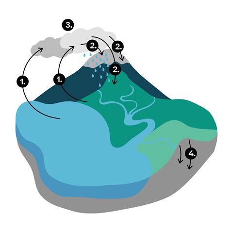 evulpo - The water cycle