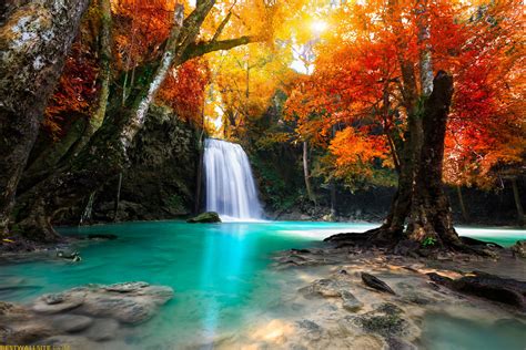 Download Forest Tree Fall Nature Waterfall HD Wallpaper