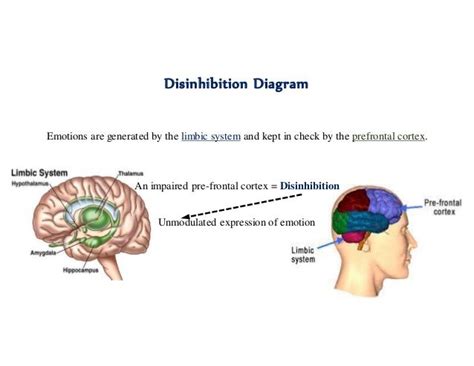 Disinhibition Diagram