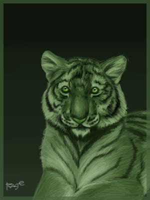 Beast Boy Tiger by Razernij on DeviantArt