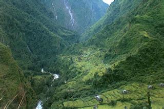 HOTELS IN NEPAL: The forests in Nepal