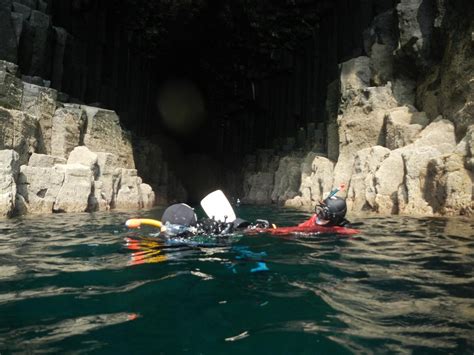 Basking Shark Scotland - All You Need to Know BEFORE You Go (2024)