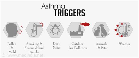 Factors that trigger Asthma