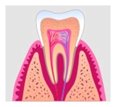 Root Canal Treatment - Arizona Dental Medicine