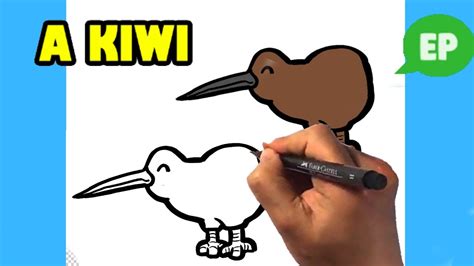 Kiwi Bird Drawing Outline