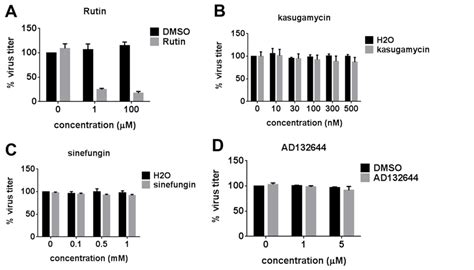 Antiviral efficacy of predicted RdRp inhibitors. Raw 264.7 cells were... | Download Scientific ...