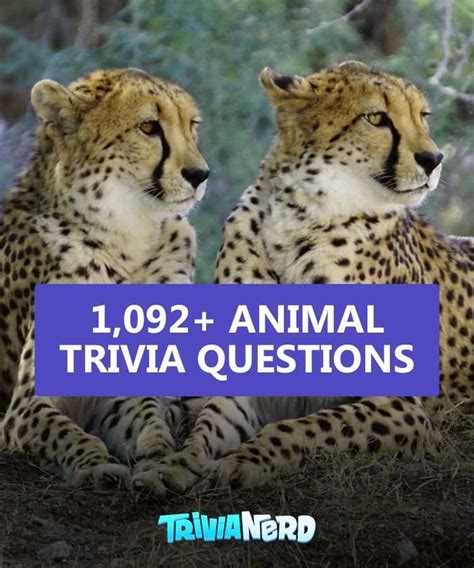 97+ Animal Trivia Questions and Answers - Trivia.fyi