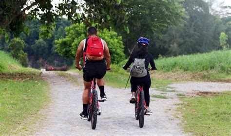 Cycling in Pulau Ubin Singapore: Honeycombers bikes the island of Ubin ...