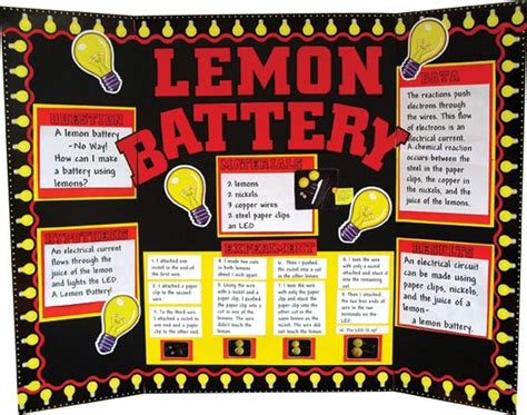 Potato Powered Light Bulb Science Fair Project | Ruivadelow