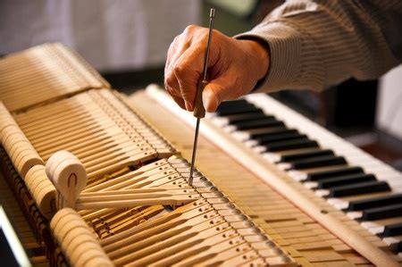 piano tuning services chichester, portsmouth