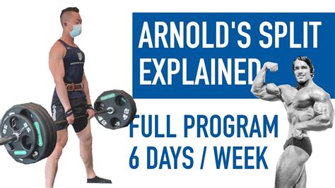 Arnold Schwarzenegger Workout Routine Pdf | Blog Dandk