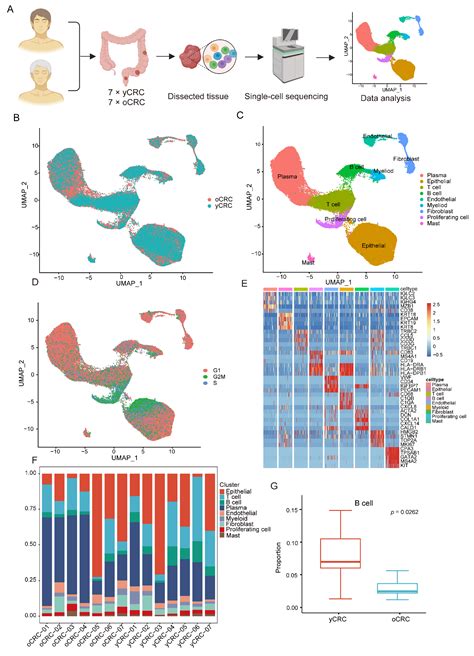 Biomolecules | Free Full-Text | Single-Cell RNA Sequencing Reveals Heterogeneity in the Tumor ...