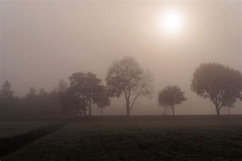 Free Images : tree, nature, cold, sun, fog, sunrise, sunset, mist, field, sunlight, morning ...