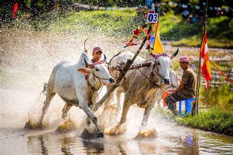 Best traditional festivals in Vietnam through Photography