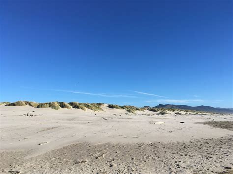 Nehalem Bay State Park - 72 Photos & 66 Reviews - Campgrounds - 9500 ...