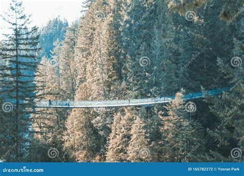 View of Capilano Suspension Bridge Park in North Vancouver at Winter ...