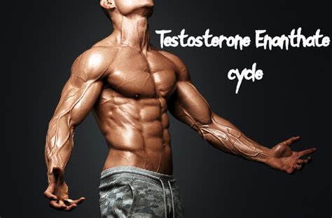 Testosterone Enanthate: Dosage, Cycle And Side Effects!