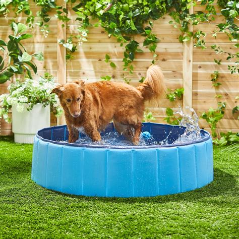 FRISCO Outdoor Dog Swimming Pool, Large - Chewy.com