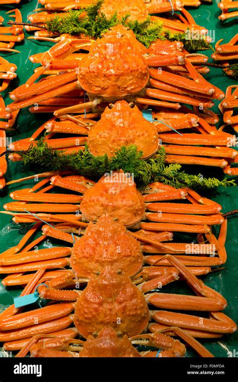 Snow crab japan hi-res stock photography and images - Alamy