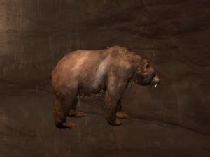 Tamed Bear (Pet) - Official Conan Exiles Wiki