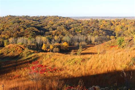 The Fiery Hues of the Prairie Grasses in Autumn - Blog - Pottawattamie ...