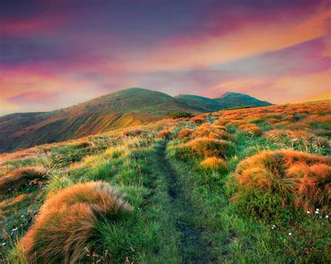 Colorful Summer Sunrise in the Foggy Mountains Stock Image - Image of ...