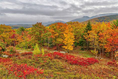 Peak Fall Colors at Acadia National Park Photograph by Juergen Roth ...