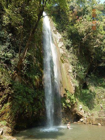 Tiger Falls (Chakrata) - 2018 All You Need to Know Before You Go (with Photos) - TripAdvisor