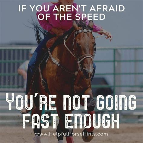 17 Share-Worthy Barrel Racing Quotes | Barrel racing quotes, Racing quotes, Horse quotes funny