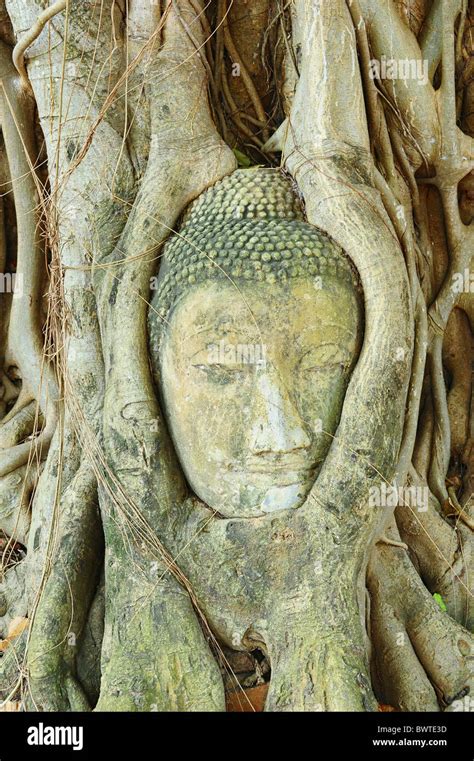 Wat Mahathat - Ayutthaya Stock Photo - Alamy