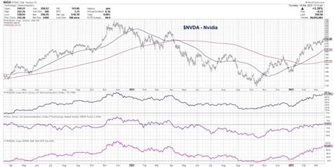 3 Stocks Thriving Despite Market Uncertainty - See It Market